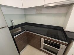 Stevens Suites (D10), Apartment #480512641